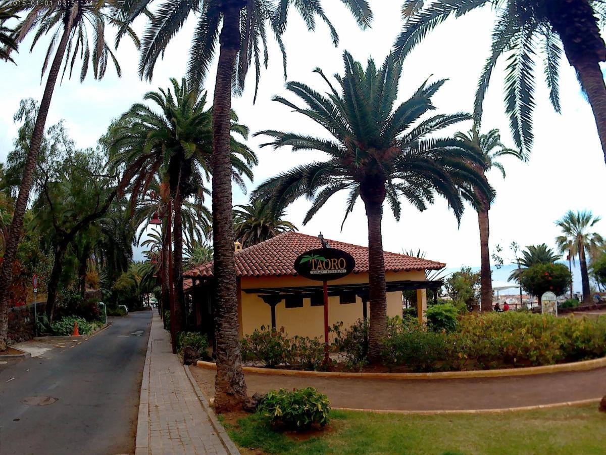 Estudio Brillante, Confortable Y Agradable Puerto de la Cruz  Exterior photo